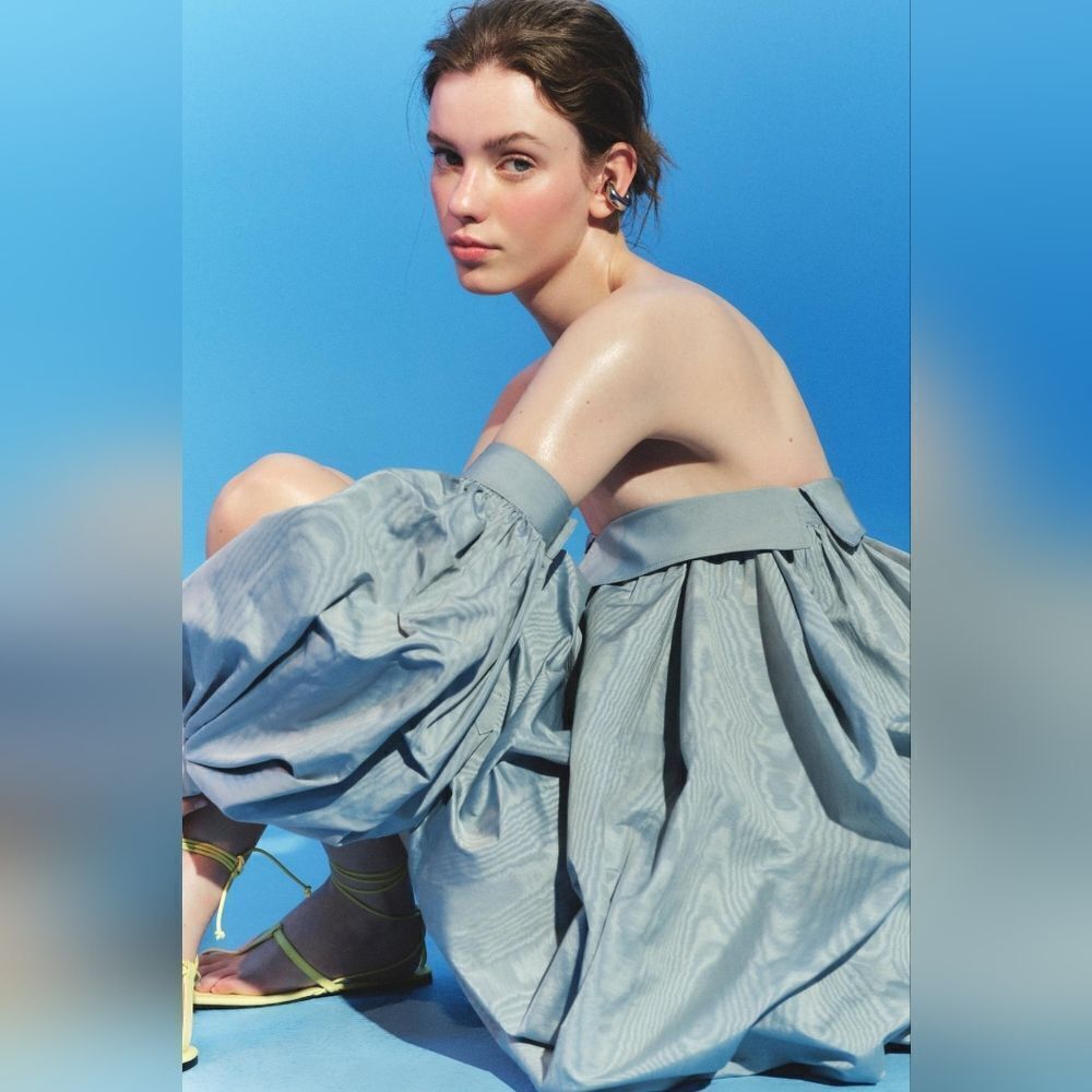 NWT ZARA ATELIER BALLOON DRESS WITH SLEEVES ZARA ICONS LIMITED EDITION blue - Picture 9 of 17
